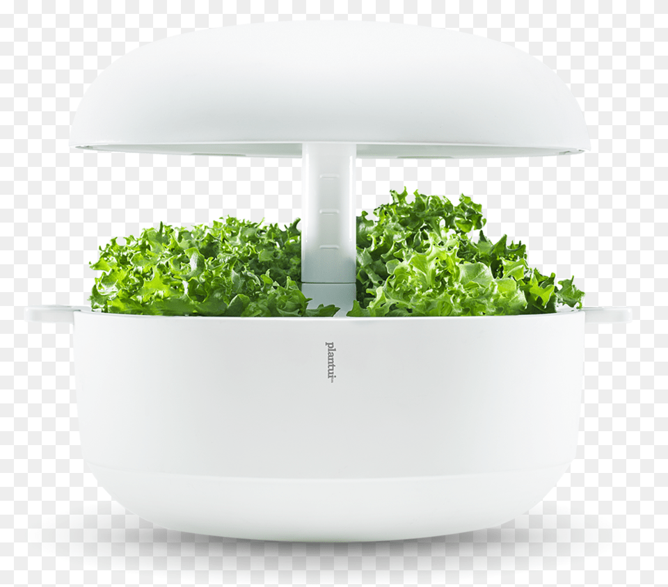 Plantui 6 Smart Garden, Potted Plant, Plant, Produce, Food Free Png Download