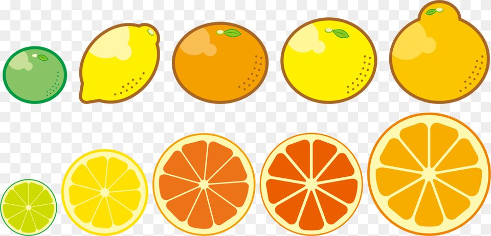 Plantvegetarian Foodlemon Citrus Trees Clip Art, Citrus Fruit, Food, Fruit, Produce Free Png