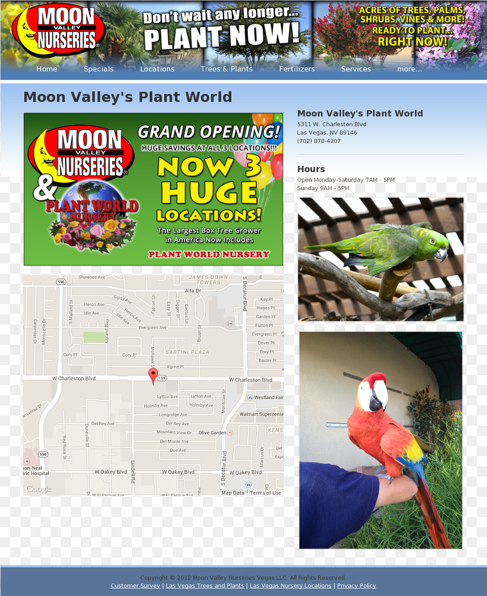 Plantworldnursery Competitors Revenue And Employees Moon Valley Nursery, Animal, Beak, Bird, Person Free Png