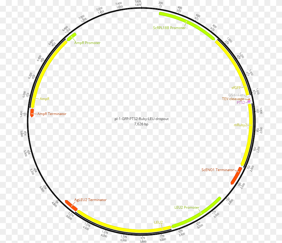 Plasmid Containing The Sequence Coding For The Circle, Astronomy, Moon, Nature, Night Png