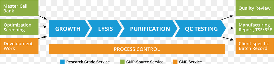 Plasmid Dna Manufacturing Process, Text Png Image