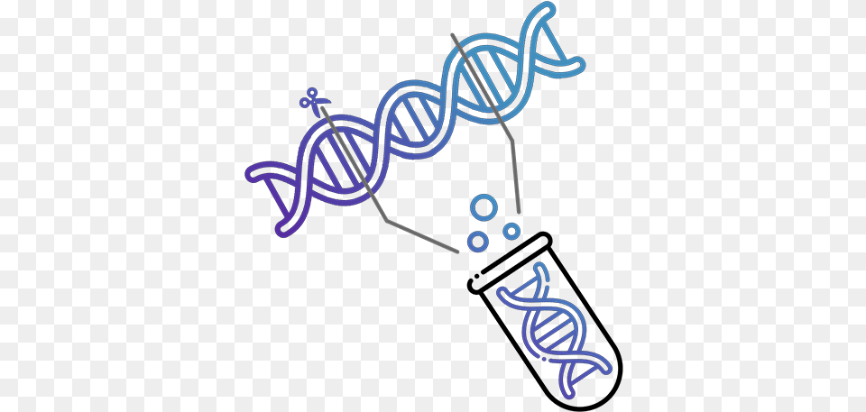 Plasmid Sequencing Dot, Light, Neon Png Image