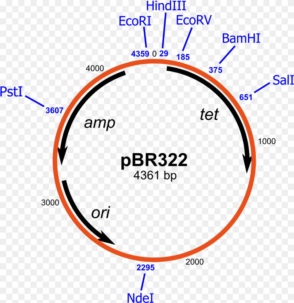 Plasmid Vector, Astronomy, Eclipse, Moon, Nature Free Png Download