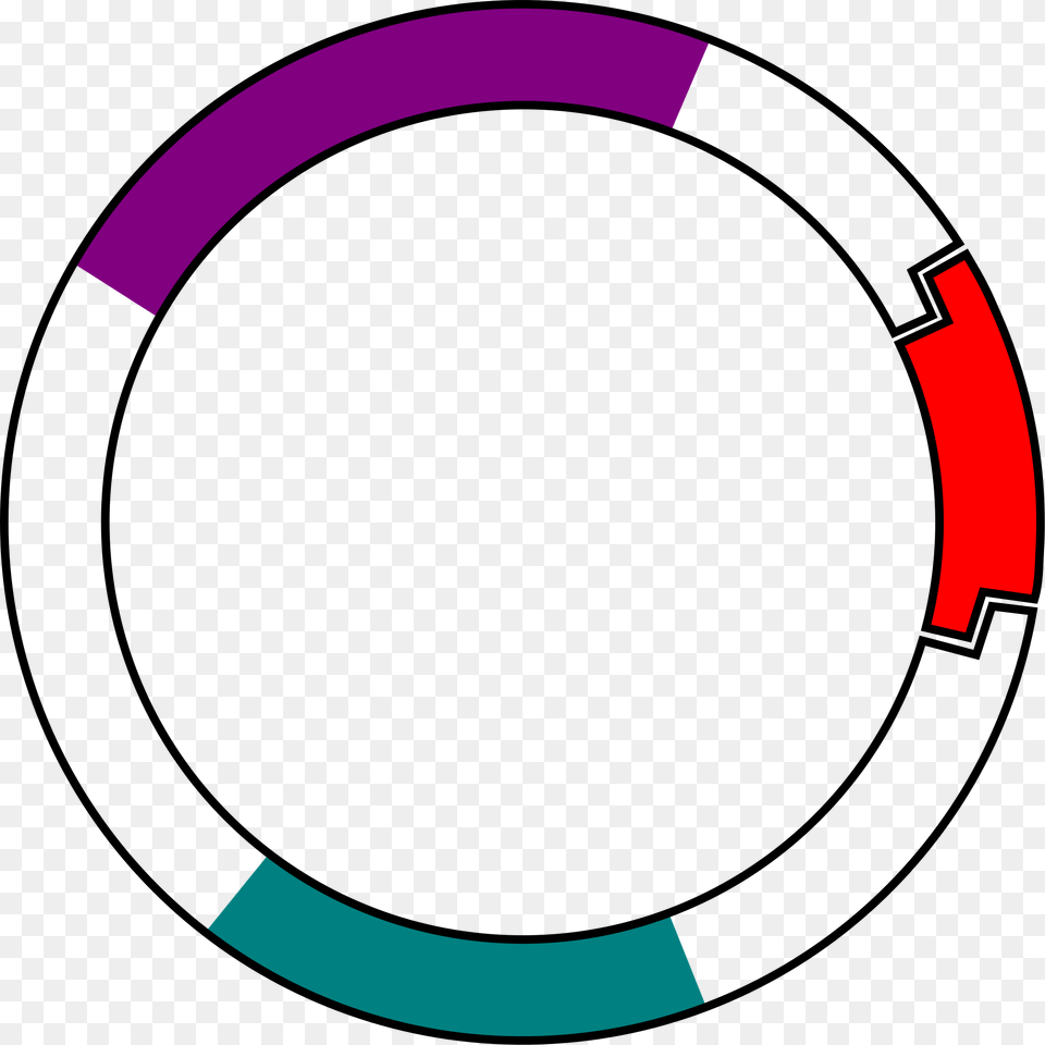Plasmid With Insert, Gauge Free Png