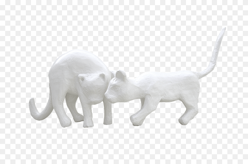 Plaster Angora, Animal, Cat, Mammal Free Transparent Png