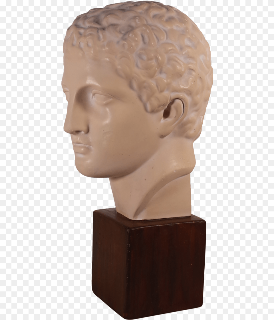 Plaster Bust Of Roman Male Bust, Person, Art, Face, Head Free Transparent Png