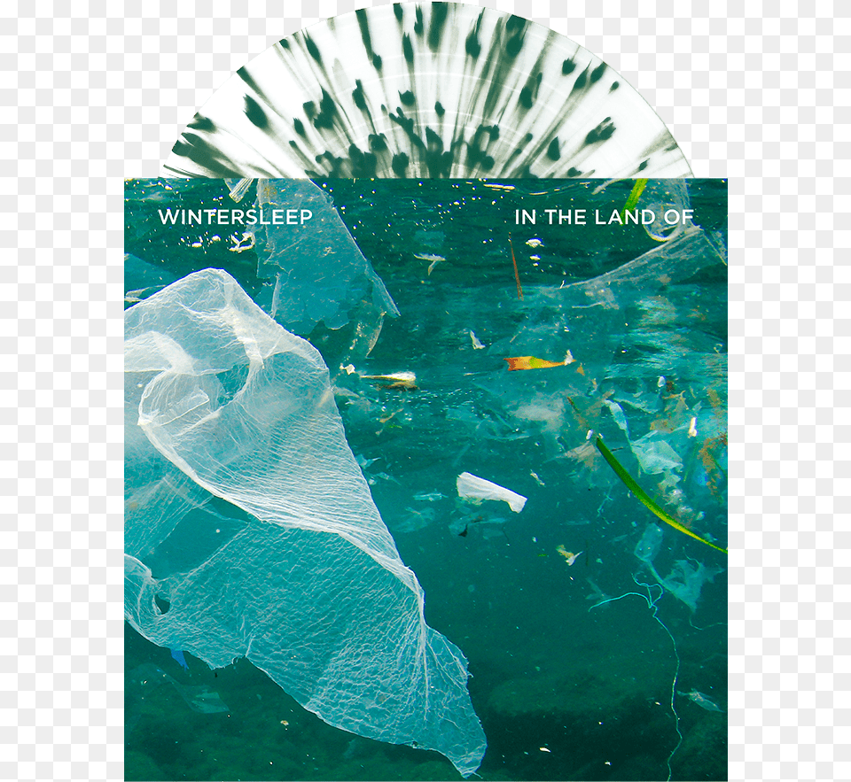 Plastic Bags In Water, Aquatic, Bag, Fish, Outdoors Png