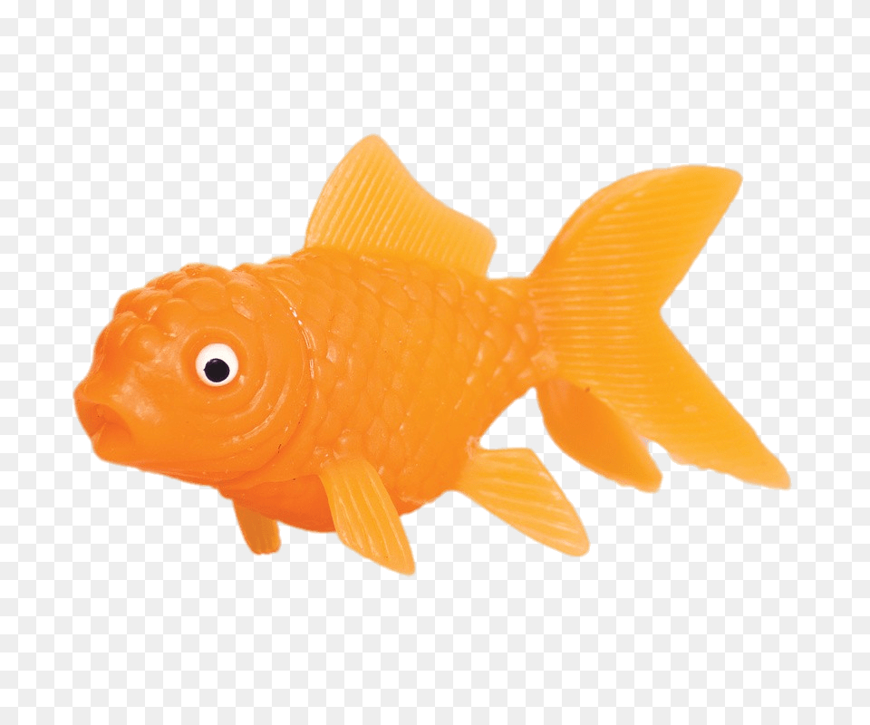Plastic Goldfish, Animal, Fish, Sea Life Png