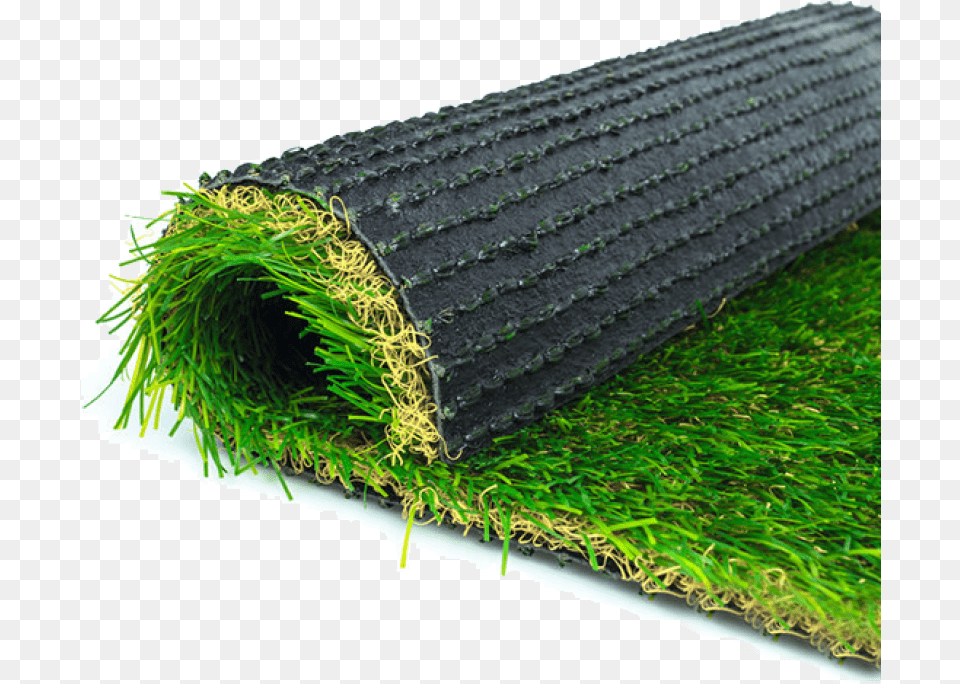 Plastic Grass Carpet In Sri Lanka, Plant, Moss, Countryside, Nature Free Png Download