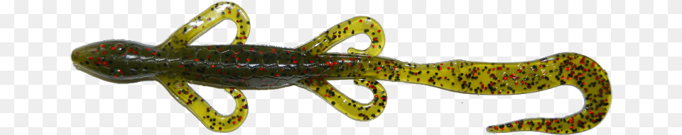 Plastic Lizard Bait, Animal, Amphibian, Salamander, Wildlife Png Image