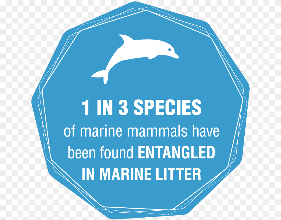 Plastic Pollution Ocean Transparent Hd Download 1 In 3 Species Of Marine Mammals Have Been Found Entangled, Sign, Symbol, Animal, Sea Life Free Png
