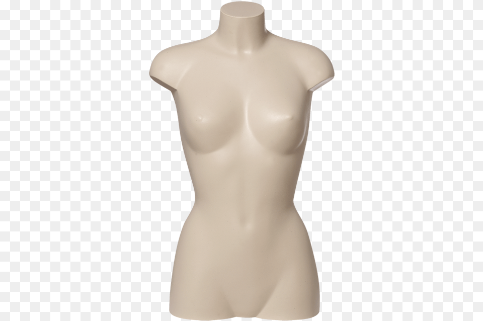 Plastic Torsos Code 120 Title Plastic Torsos Code Mannequin, Body Part, Person, Torso, Blouse Free Transparent Png