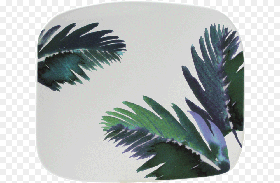 Plate, Leaf, Plant Png Image