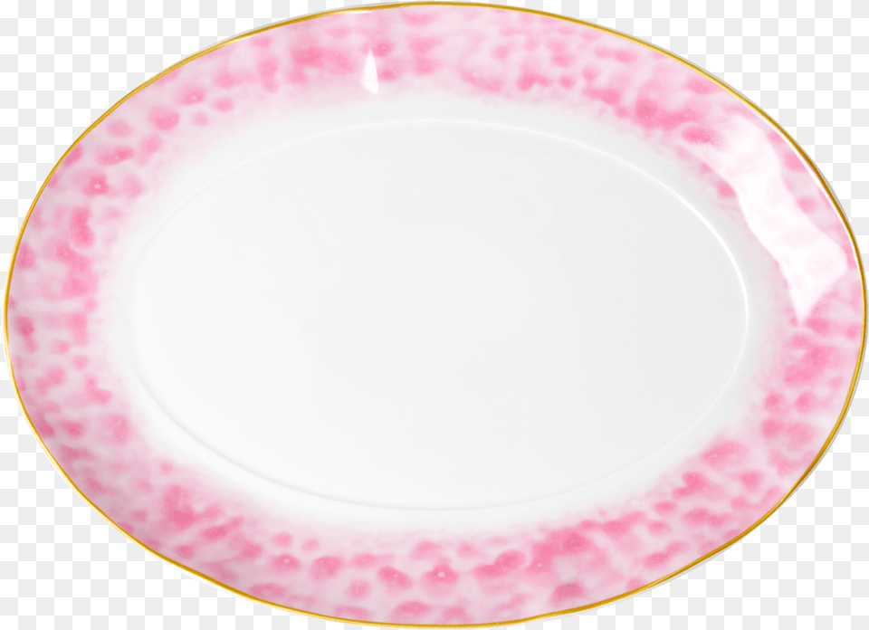 Plate, Art, Dish, Food, Meal Png