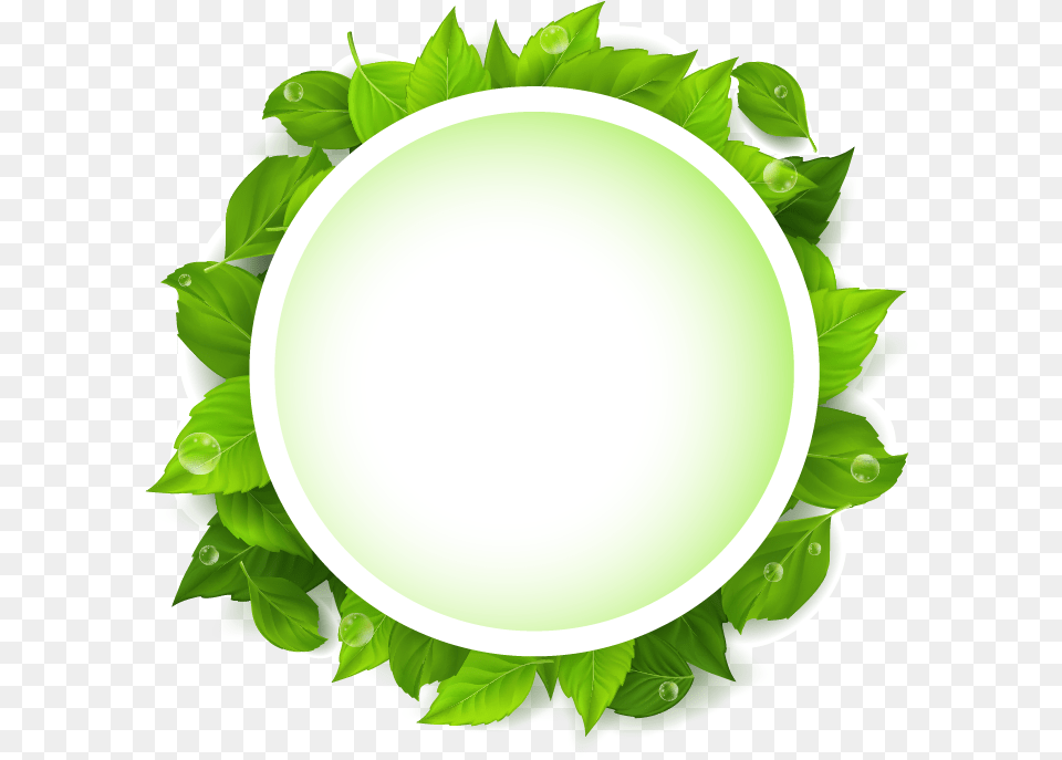 Plate Clipart Circle, Green, Herbal, Herbs, Leaf Free Png Download