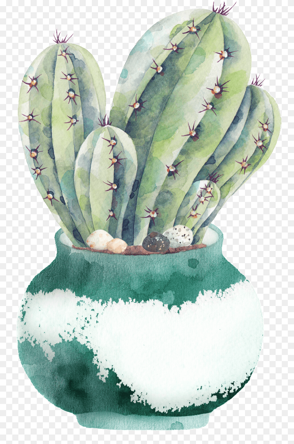 Plate Of Cactus Transparent Transparent Background Watercolor Cactus, Plant, Potted Plant, Jar Png Image