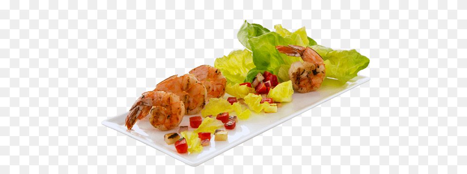 Plate Salad, Food, Food Presentation, Animal, Seafood Free Png Download