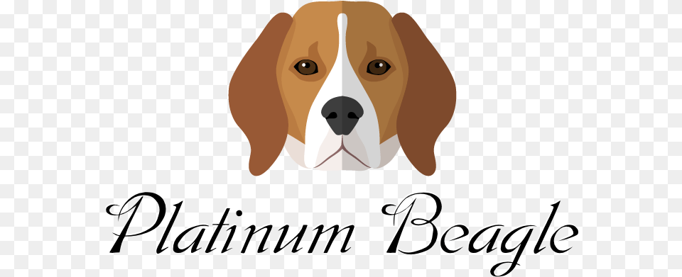 Platinum Beagle Puppies Love My Beagle Throw Blanket, Animal, Pet, Canine, Dog Free Png Download