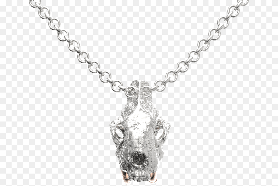 Platinum Chain With Diamond Pendant, Accessories, Jewelry, Necklace, Gemstone Png Image
