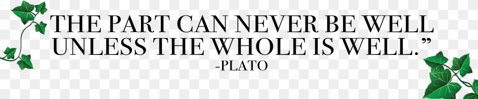 Plato, Green, Leaf, Plant, Vine Free Png Download