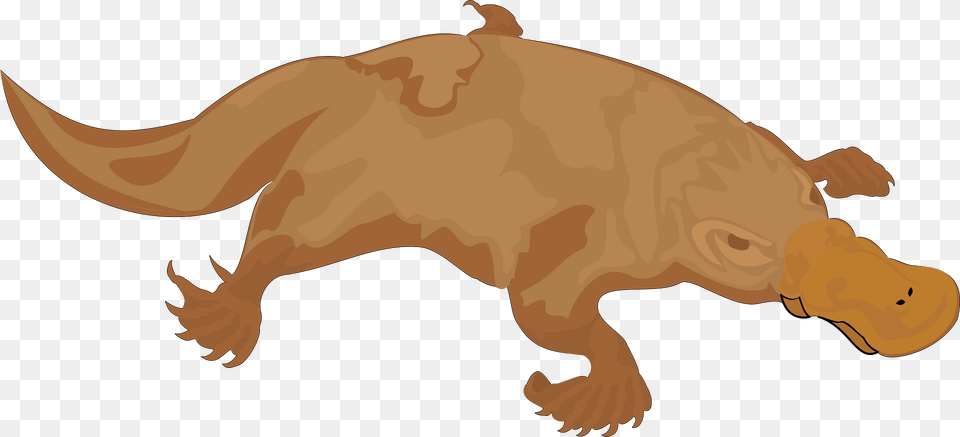 Platypus Clipart, Animal, Mammal, Wildlife, Fish Free Transparent Png