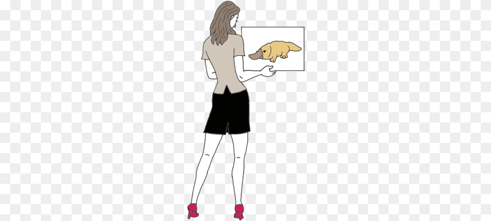 Platypus Illustration, Shorts, Clothing, Adult, Person Free Transparent Png