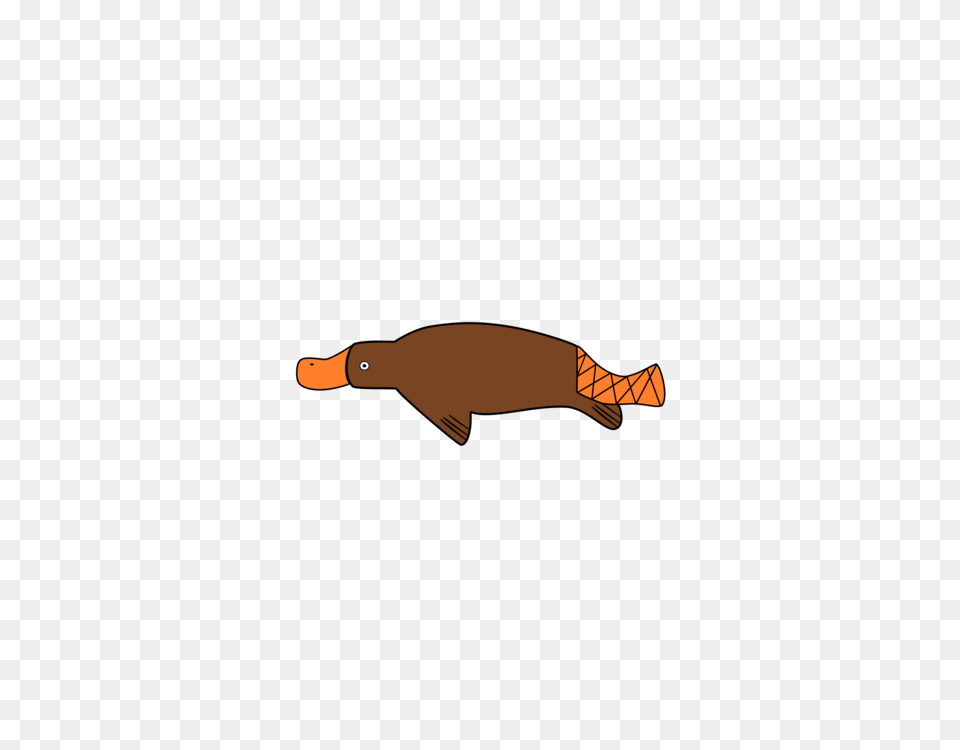 Platypus T Shirt Paper Greeting Note Cards Stationery, Mortar Shell, Weapon, Animal, Sea Life Png Image