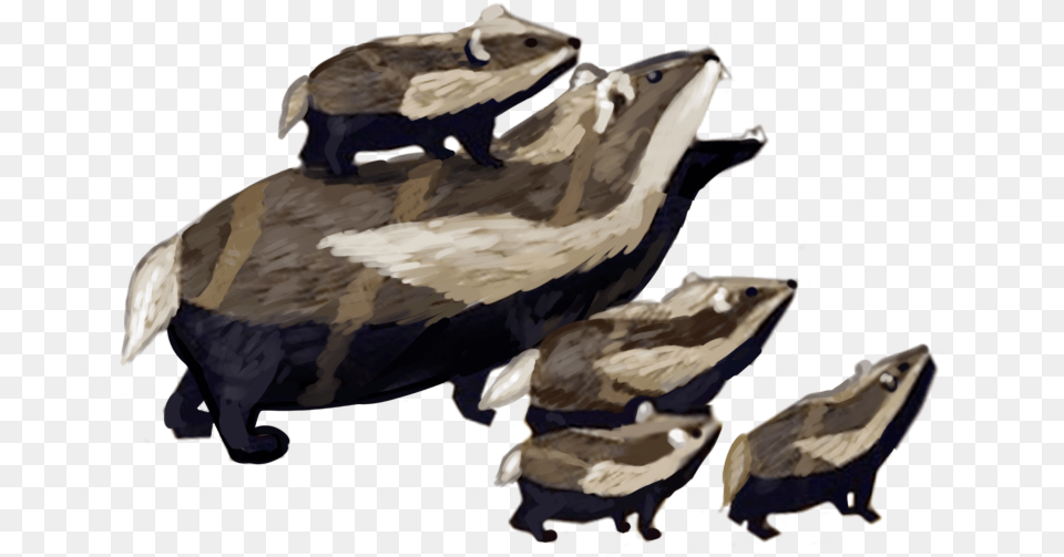 Play As The Role Of A Honey Badger Animal Jam Honey Badger, Mammal, Wildlife, Bird Free Png Download