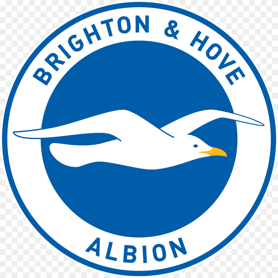 Play Brighton And Hove Albion Logo, Animal, Bird, Seagull, Waterfowl Png