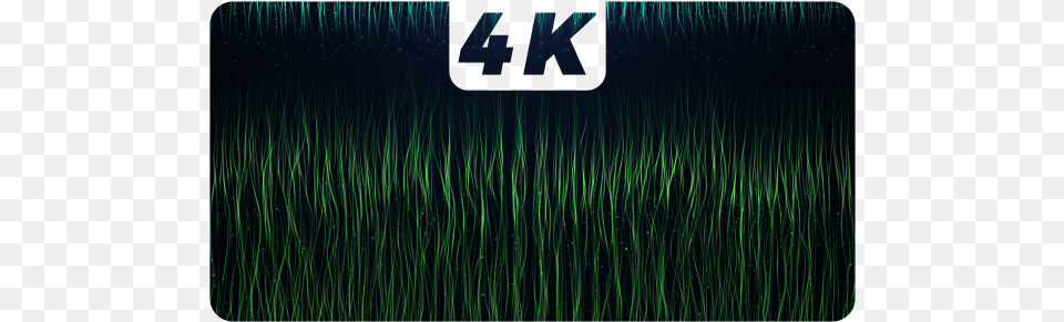 Play Preview Video Graphics, Grass, Nature, Night, Outdoors Free Transparent Png
