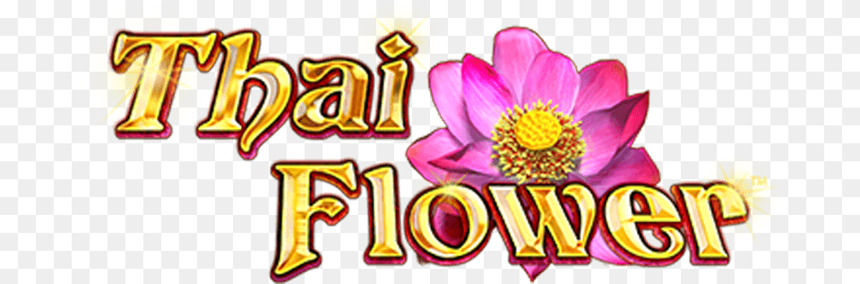 Play Thai Flower Slot Game Betfair Arcade Thai Flower Slots Game, Plant, Dynamite, Weapon Png Image