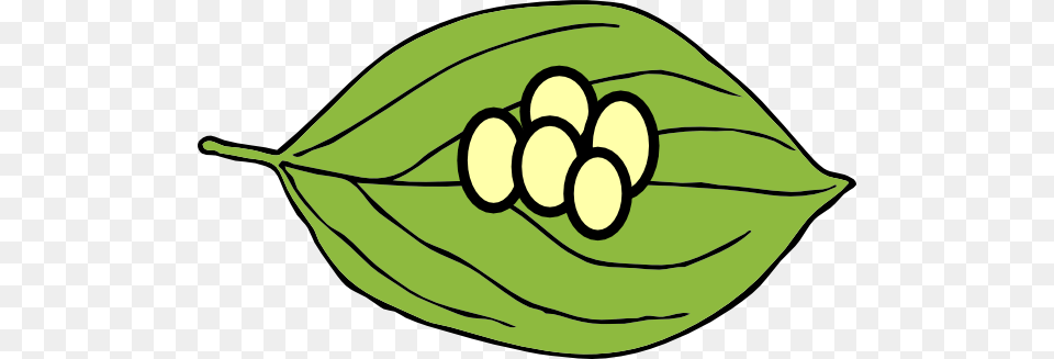 Play The Very Hungry Caterpillar, Leaf, Plant, Annonaceae, Tree Free Transparent Png