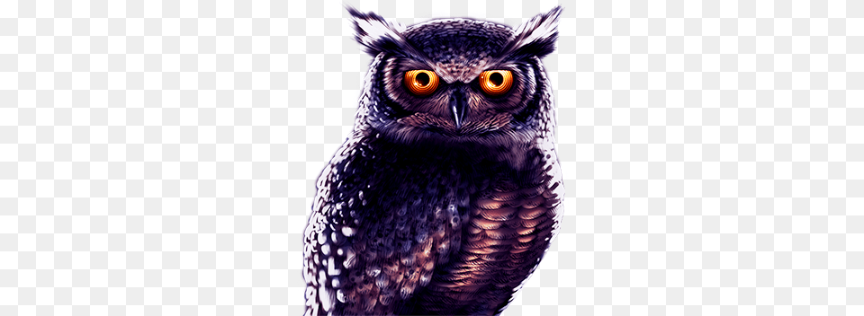 Play To The Nextgen Gaming Great Horned Owl, Animal, Bird, Beak Free Transparent Png