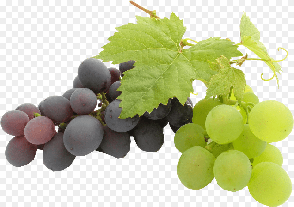 Play Transparent Background Sonaka Seedless Grapes, Food, Fruit, Plant, Produce Free Png
