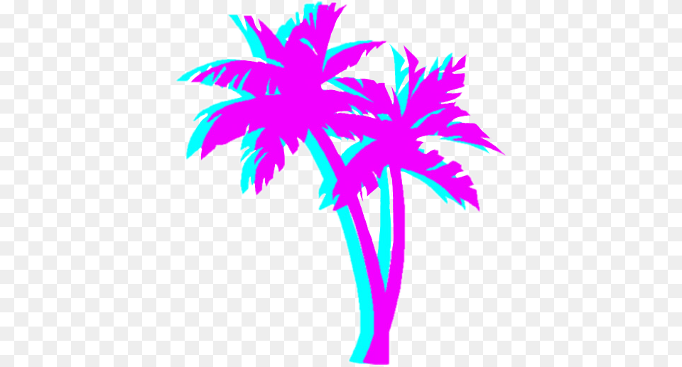 Playa Palmeras Arena, Palm Tree, Plant, Tree, Person Png Image