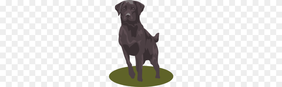 Playful Black Lab Clip Art, Animal, Canine, Dog, Labrador Retriever Free Transparent Png