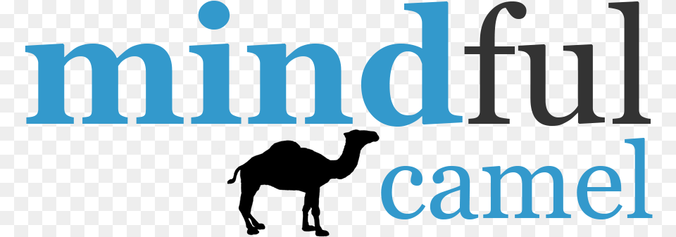 Playful Modern Logo Design For Mindful Calabria, Text Png