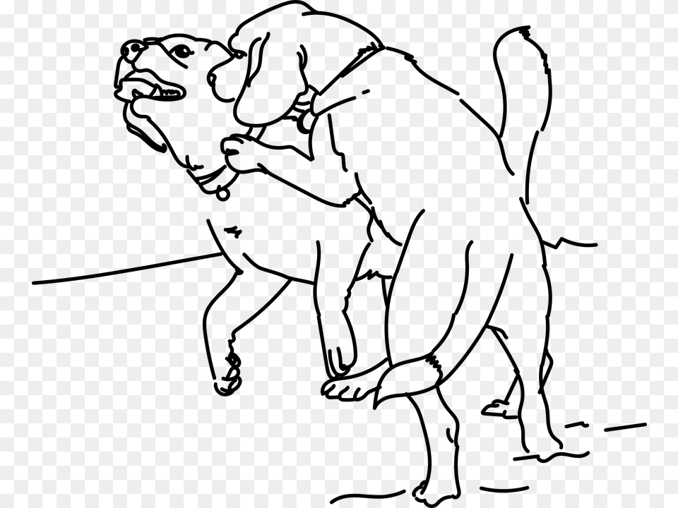 Playing Beagle Dog Pet Friend Puppy Animal Vektor Hitam Putih Gambar Fuck, Gray Png Image