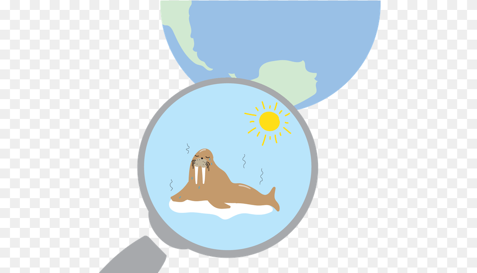 Playing Your Part To Fix Climate Change Illustration, Animal, Sea Life, Mammal, Astronomy Free Transparent Png