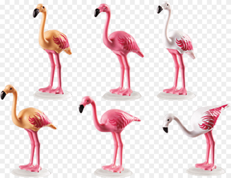 Playmobil Flaming, Animal, Bird, Flamingo Free Transparent Png
