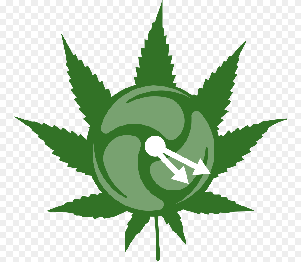 Please Confirm You Are Above 19 Years Of Age Marijuana Leaf Clipart, Green, Herbal, Herbs, Plant Png