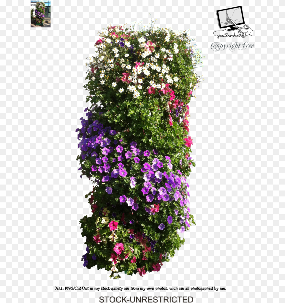 Please Follow The Rules In Our Journal For Petunia, Flower, Flower Arrangement, Flower Bouquet, Geranium Free Transparent Png