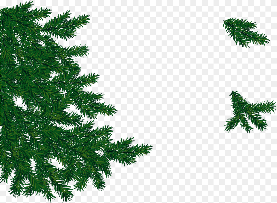 Plejkast S Novim Godom Spruce Branch, Conifer, Green, Pine, Plant Free Transparent Png