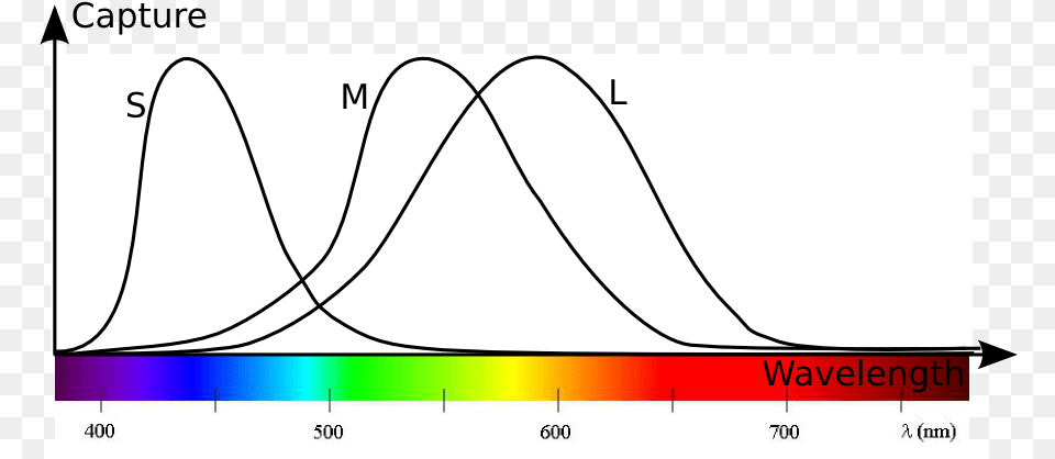 Plot, Chart, Measurements Png Image