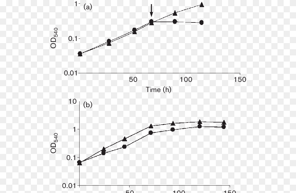 Plot, Chart Png Image