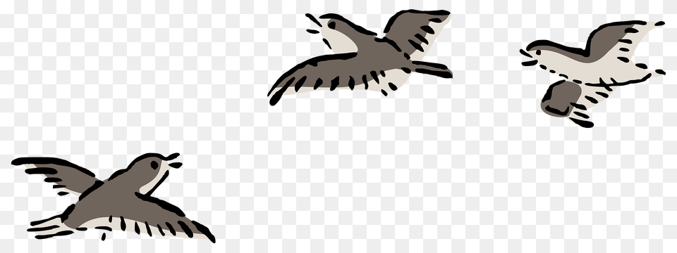 Plovers Ukiyo E Svg No004 Clipart, Animal, Bird, Flying, Kite Bird Free Png