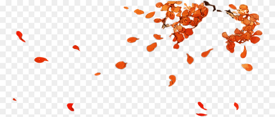 Plum Blossom Wallpaper Fall Leaves Falling, Flower, Plant, Petal, Produce Png Image