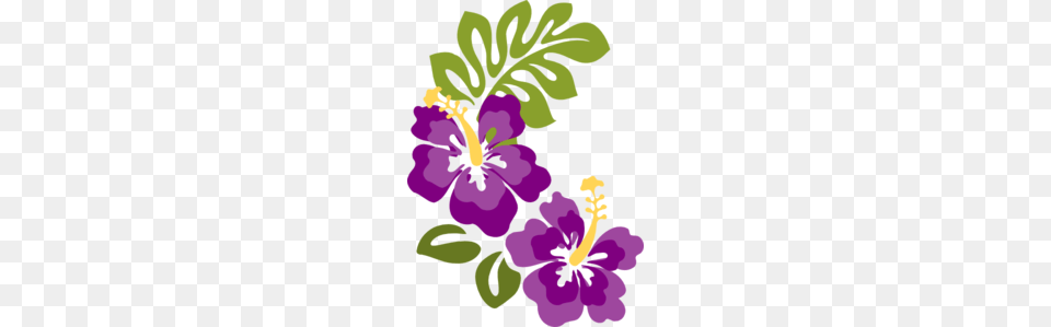 Plum Hibiscus Clip Hibiscus Clip Art Luau, Flower, Plant, Purple, Baby Free Png