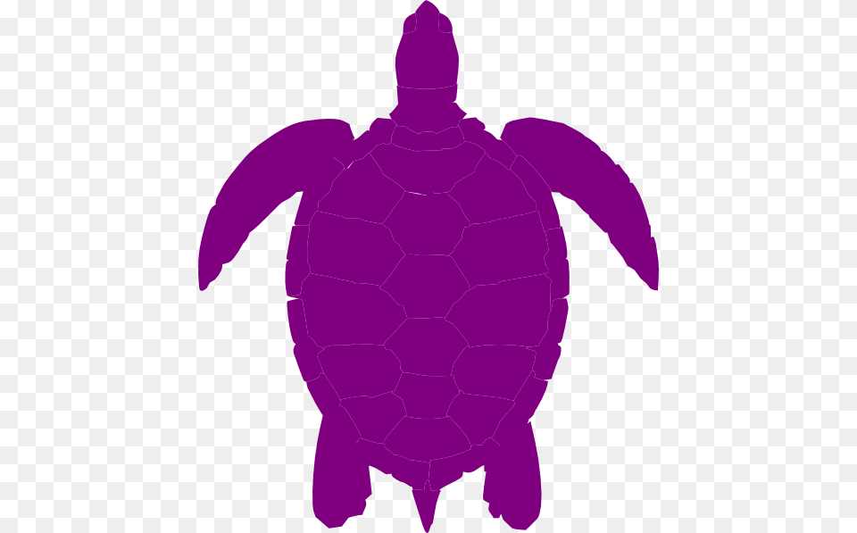 Plum Sea Turtle Clip Art, Sea Turtle, Sea Life, Reptile, Animal Png Image