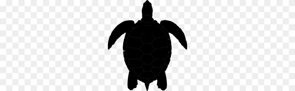 Plum Sea Turtle Clip Art, Gray Png Image